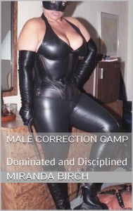 Cover of Male Correction Camp